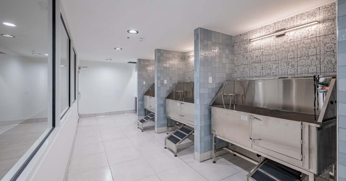 Pet Spa & Pet Park at The Pulse OKC apartments in downtown Oklahoma City.